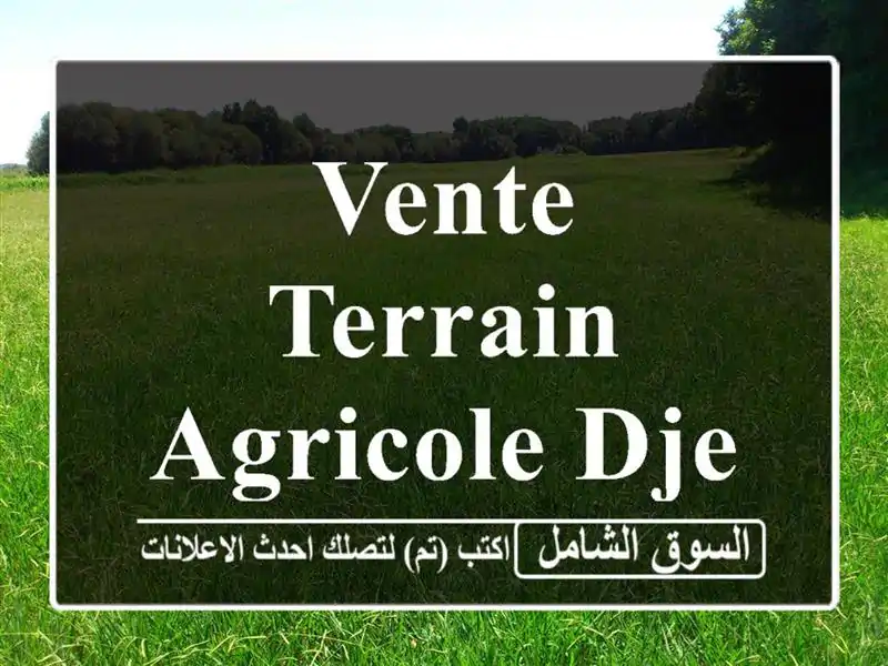 Vente Terrain Agricole Djelfa Zaafrane