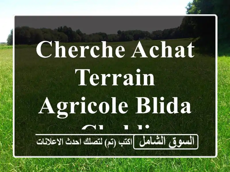 Cherche achat Terrain Agricole Blida Chebli
