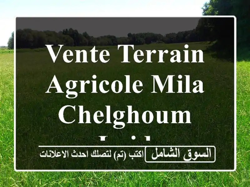Vente Terrain Agricole Mila Chelghoum laid