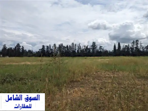 Vente Terrain Agricole Blida Boufarik