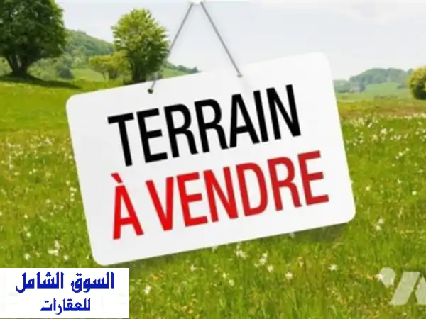 Vente Terrain Alger Hussein dey