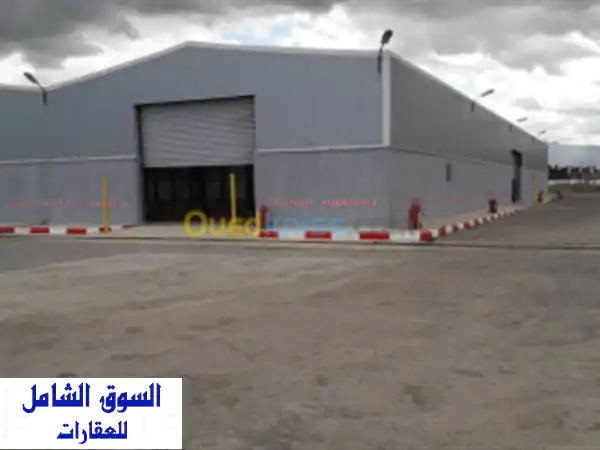 Cherche achat Hangar Alger Oued smar
