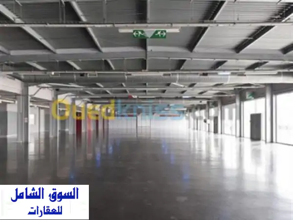 Vente Hangar Oran Oued tlelat