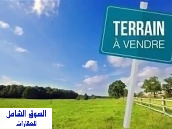 Vente Terrain Alger El achour