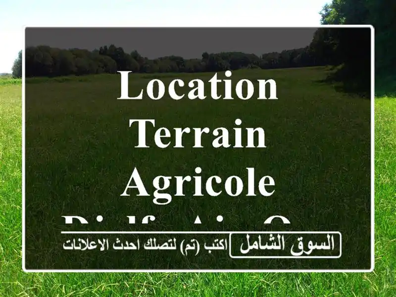 Location Terrain Agricole Djelfa Ain oussara