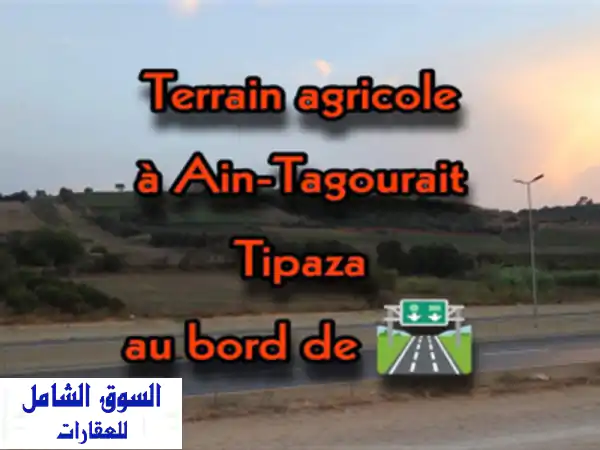 Vente Terrain Agricole Tipaza Ain tagourait