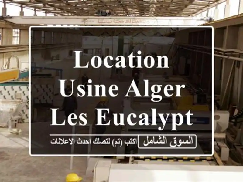 Location Usine Alger Les eucalyptus