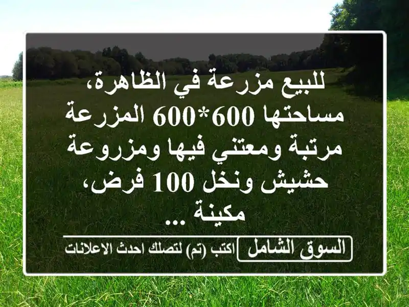 للبيع مزرعة في الظاهرة، مساحتها 600*600 المزرعة...