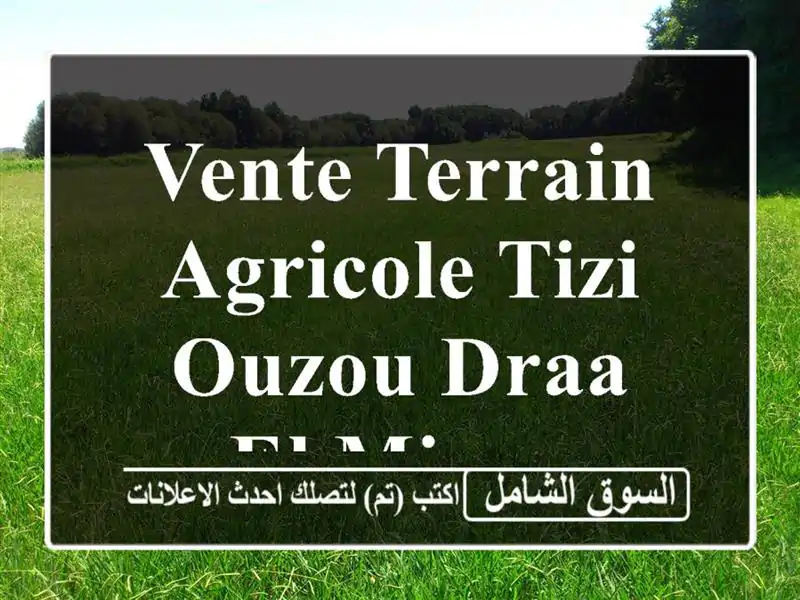 Vente Terrain Agricole Tizi Ouzou Draa el mizan