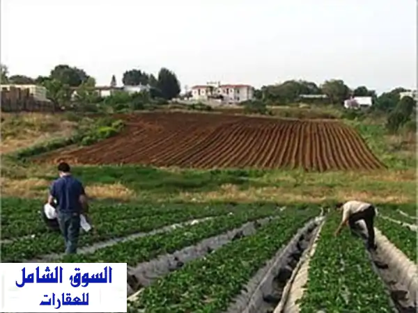 Location Terrain Agricole Oran Oran