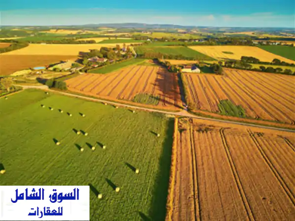 Vente Terrain Agricole Alger Cheraga