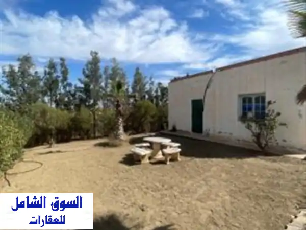 Location Terrain Sidi Bel Abbès Tessala