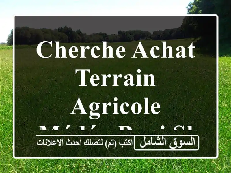 Cherche achat Terrain Agricole Médéa Beni slimane