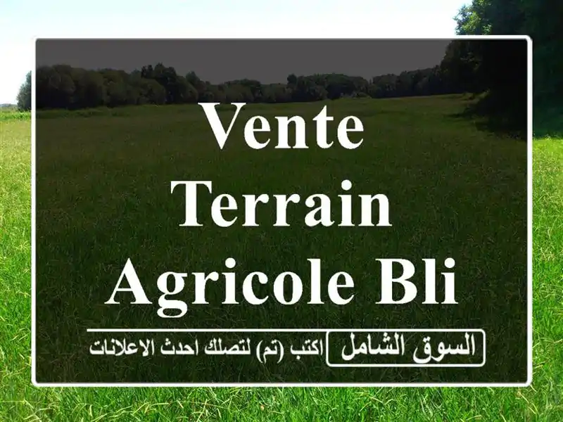 Vente Terrain Agricole Blida Boufarik