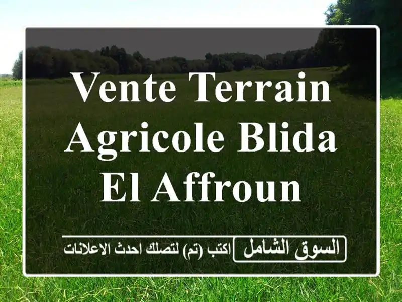 Vente Terrain Agricole Blida El affroun