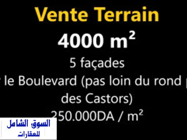 Vente Terrain Oran Oran