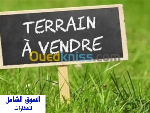 Vente Local Annaba Annaba