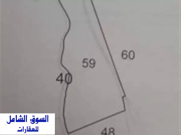 Location Terrain Agricole Tiaret Si abdelghani