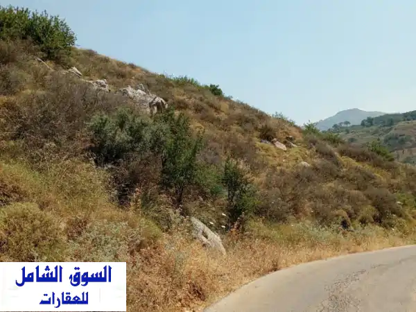 استثمار ذهبي بدميت الشوف: أرض للبيع (زون 40/80) لبناء...