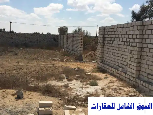 للبيع: قطعة أرض استثمارية مميزة ببرج العرب القديم...