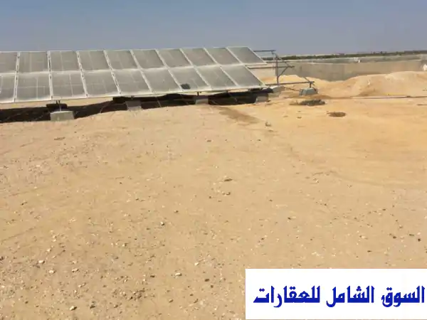 فرصة استثمارية ذهبية: أرض 100 فدان للبيع على طريق...
