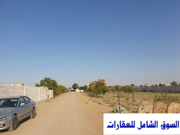 للإيجار: مزرعة 22 فدان بالعبور - جمعية العدلية، القليوبية | استثمار زراعي وحياة ريفية