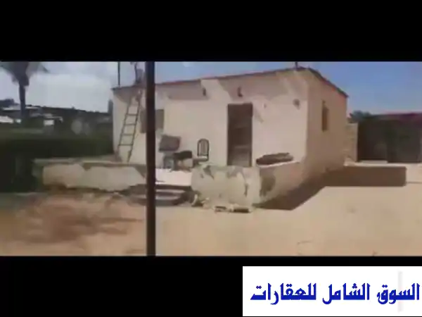 حقق حلمك: مزرعة للإيجار بالإسماعيلية | ثلث فدان...