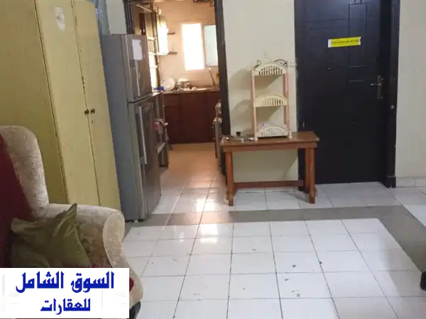 سكن مشترك راقي القضيبية | إيجار 50 د.ب شامل الكهرباء | موقع حيوي وتشطيب جاهز