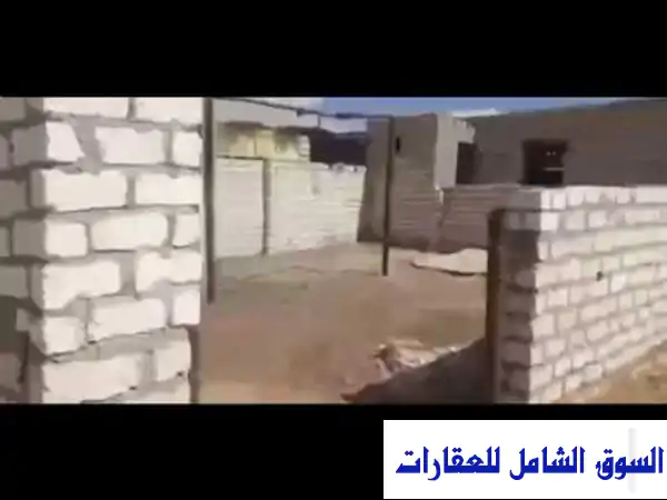 فرصة ذهبية: مزرعة للإيجار بمزارع السعيد، الإسماعيلية | ثلث فدان مجهز بالكامل بـ 4500 ج