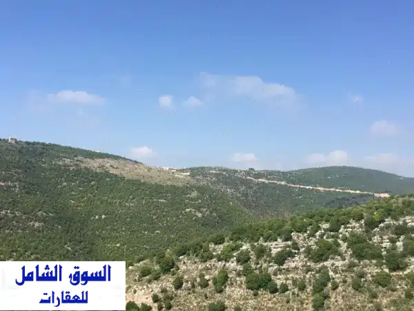 أرض للبيع في لحفد على الطريق العام | 1985 م² |...