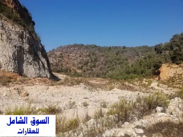 استثمار العمر في الشوف: أراضي للبيع (زراعي...