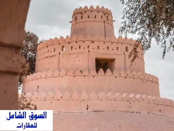استثمر بذكاء في العين: بناية تجارية استثمارية بدخل...