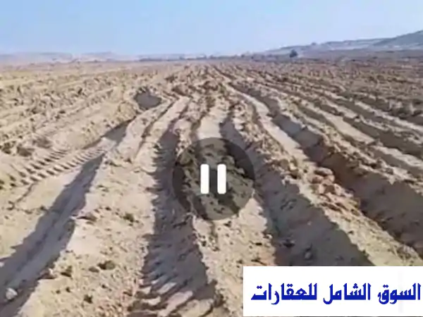 إيجار 50 فدان أرض زراعية بالمنيا: سمالوط الصحراوي -...