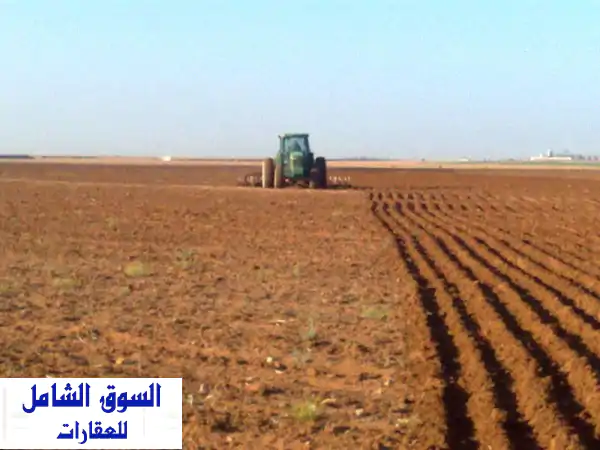 فرصة العمر لاستثمار زراعي مضمون: 5 أفدنة بكر...