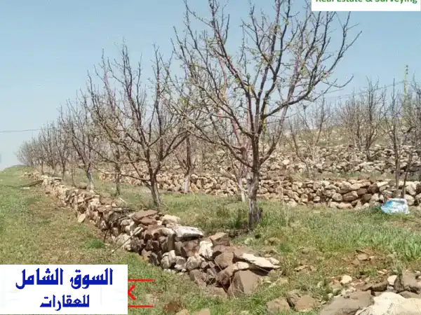 أرض للبيع في اللقلوق، جبيل: 650 م2 بموقع...