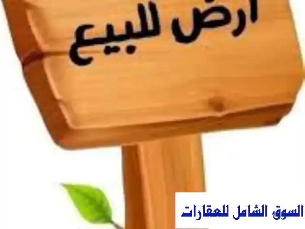 ارض في الصفا على الشارع الاسفلت 225 متر للبيع حي...