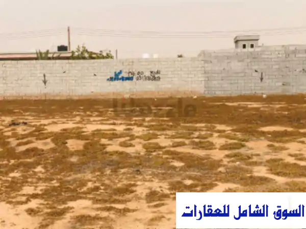 فرصة العمر! أرض للبيع 1000م بالوظة، شمال سيناء (رخصة...