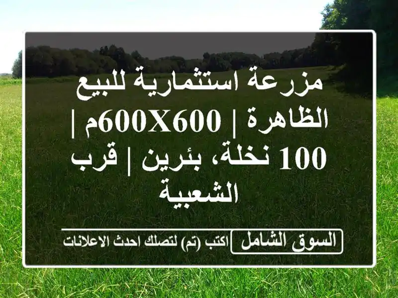 مزرعة استثمارية للبيع الظاهرة | 600x600م | 100 نخلة، بئرين...