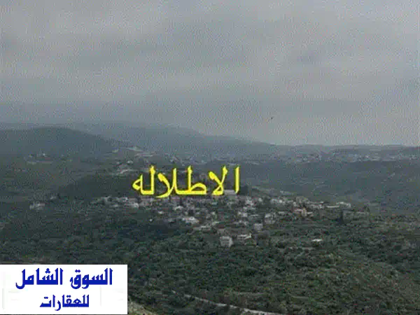 فرصة العمر! أرض سكني تجاري مميزة في صيدا - كفرفلوس | سند أخضر وجاهزية ترخيص