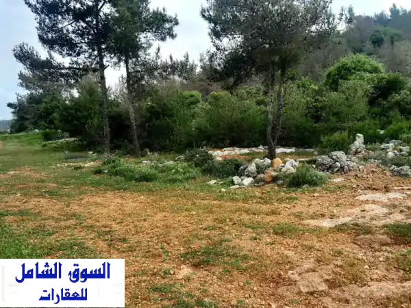 امتلك شقة أحلامك بحديقة خاصة في دير قوبل وبشامون |...