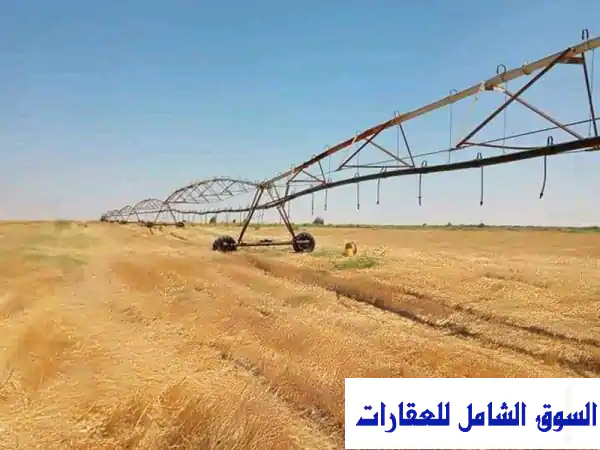 فرصة استثمارية ذهبية: 1500 فدان أراضي زراعية للإيجار بالمنيا - ري محوري (أبو قرقاص)