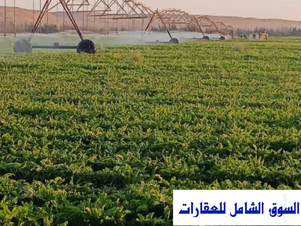 فرصة استثمارية ذهبية: 1500 فدان أراضي زراعية...