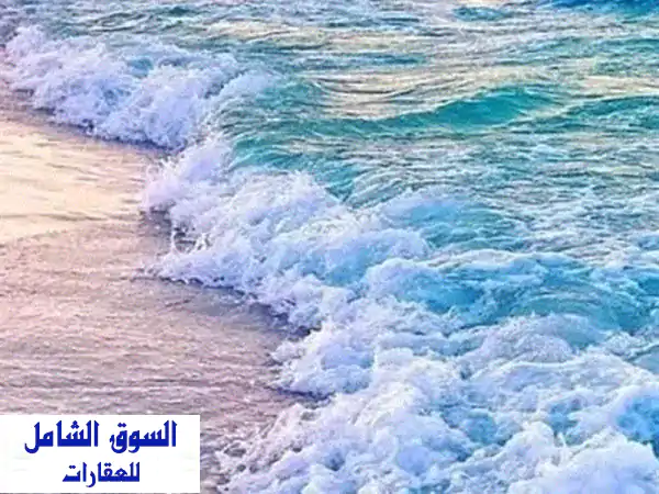 استثمر حلمك البحري: أرض صف أول 452م بصباح الأحمد...