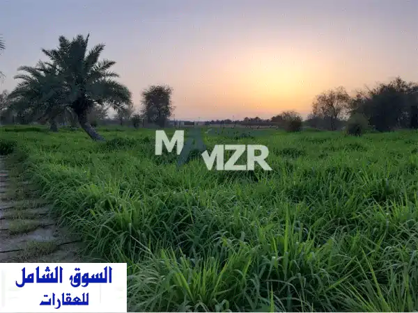 فرصة استثمارية ذهبية بالوقن: مزرعة 600x600 قدم، 400 نخلة وبئرين مياه - سعر مغرٍ!