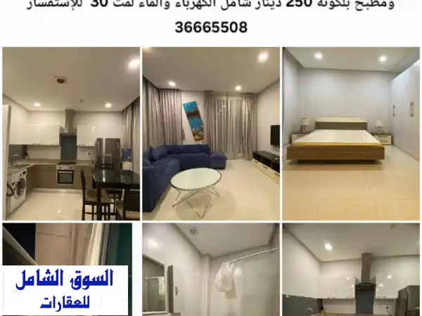 للإيجار: شقة راقية ومفروشة بالكامل | غرفة وصالة...