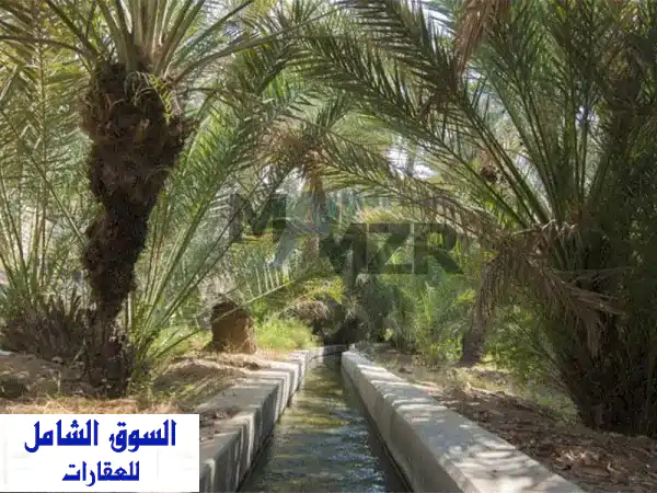 مزرعة استثمارية مميزة للبيع في الساد | بئران، كهرباء 150KV، مساحة 360 ألف قدم مربع