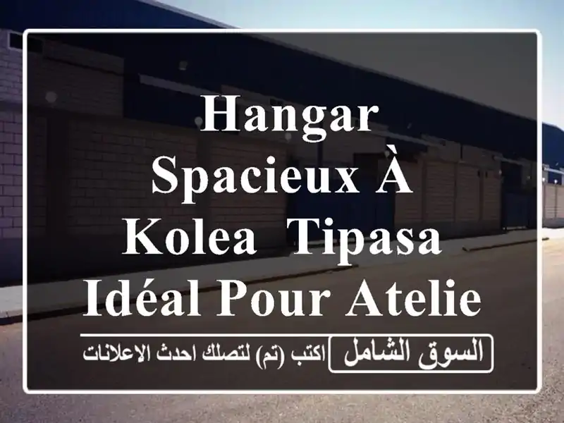  hangar spacieux à Kolea, Tipasa - Idéal pour atelier, usine ou entrepôt !