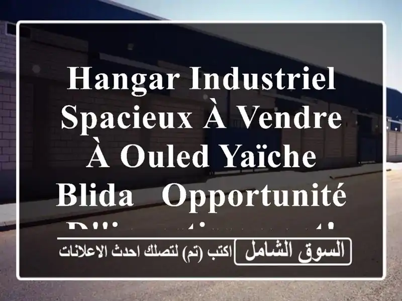 Hangar Industriel Spacieux à Vendre à Ouled Yaïche, Blida - Opportunité d'Investissement!