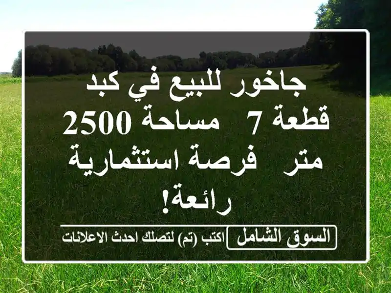 جاخور للبيع في كبد - قطعة 7 - مساحة 2500 متر -...