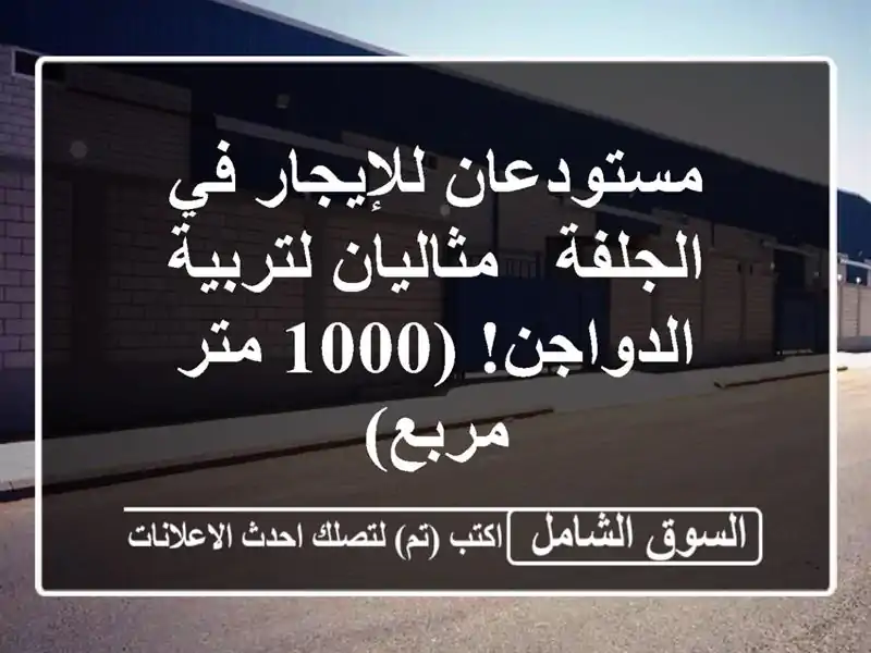 مستودعان للإيجار في الجلفة - مثاليان لتربية...